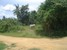tn 5 Land for sale in Baan Ampur