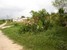 tn 2 Exterior Size 716 Twah land for sale 