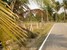 tn 2 Exterior Size 4 Rai land for sale 