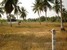 tn 3 Exterior Size 4 Rai land for sale 