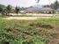 tn 1  LAND FOR SALE - SAMUI