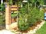 tn 4 Stylish designed detached house