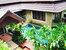 tn 2  Resale House and Villas - Cherngtalay 