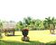 tn 5 For House Pranburi Rent