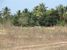 tn 2 This plot of land in total is 16 Rai
