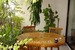 tn 4 Pure & Delightful!Designed !! 