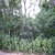 tn 1 Land For Sale.Pratamnak Soi-6