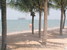 tn 6 Beach Front Land For Sale!!!