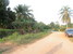 tn 3 Lands For Sale!!! In Babgsare!!!