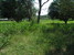 tn 5 Bangsaray Beach Land - 2 Rai