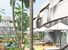 tn 5 Baan Paradise