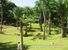 tn 2 Ocean view land