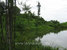 tn 5 Stunning Land