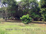tn 4 7 Rai Lynchee Orchard