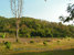 tn 2 4 Rai near Nature