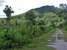 tn 3 10 Rai Close to City