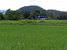 tn 2 3 Rai in City