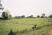 tn 1 Lovely piece of mountain-view land