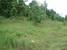 tn 2 On the Maerim-Somoeng Road