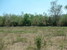 tn 3 The land is an estimated 4 rai 