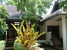 tn 2 Luxury teak house 
