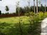tn 3 Great house in a great location