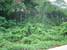 tn 4 Beachfront Land For Sale In Lanta Island