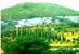 tn 1 Resort And Seminar, Vinyard & Winery