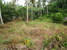 tn 1 Baan Tai