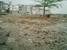 tn 1 Beautiful empty plot of land