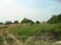 tn 1 Land for sale