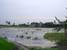 tn 1 13 Rai 200 Sqw. [21,600 Sq.m.]