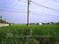 tn 1 Land for sale, at Suwinthawong rd