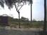 tn 2 5 Rai 61 Sqw. [8,244 Sq.m.]