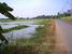 tn 2 Land for sale,8 Rai 22 Sqw