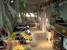 tn 2 24 bedrooms,620 sqm., 70 sqw.