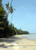 tn 1 Phuket Tropical Realestate  