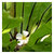 tn 3 Voted the Best Spa Resort