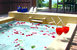 tn 5 Elixir Resort