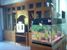 tn 5 Double storey house in East Pattaya