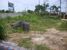 tn 6 Double storey house Land size: 135 TW