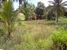 tn 1 2 rai (3200 SQM) of land 