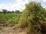 tn 2 4 rai (6400 SQM) of land