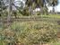 tn 2 4 rai (6400 SQM) of land 