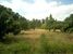 tn 1 6 rai (9600 SQM) of land