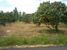 tn 3 6 rai (9600 SQM) of land