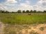 tn 1 16 (25,600 SQM) of land 