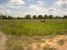 tn 1 16 (25,600 SQM) of land 