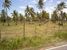 tn 3 98 rai (156,800 SQM) of land 