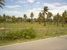 tn 4 98 rai (156,800 SQM) of land 